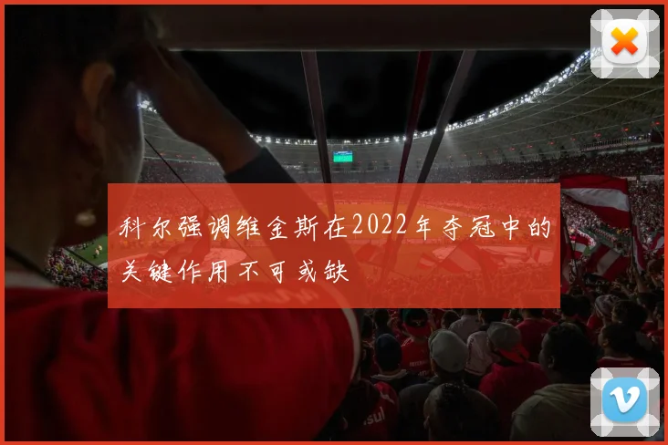 科尔强调维金斯在2022年夺冠中的关键作用不可或缺