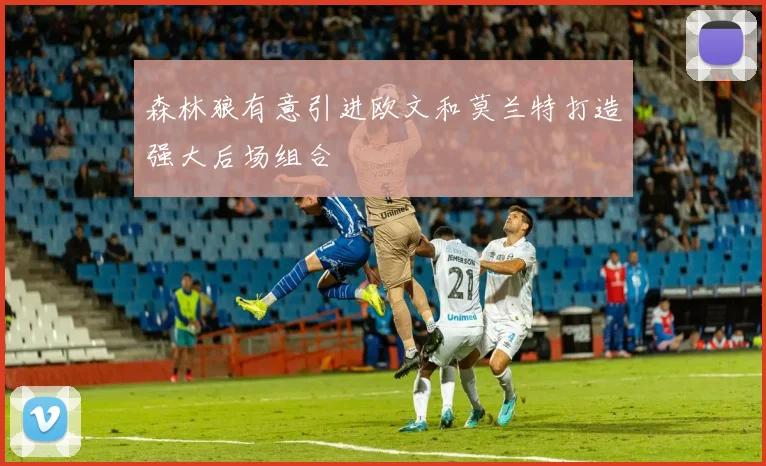 森林狼有意引进欧文和莫兰特打造强大后场组合